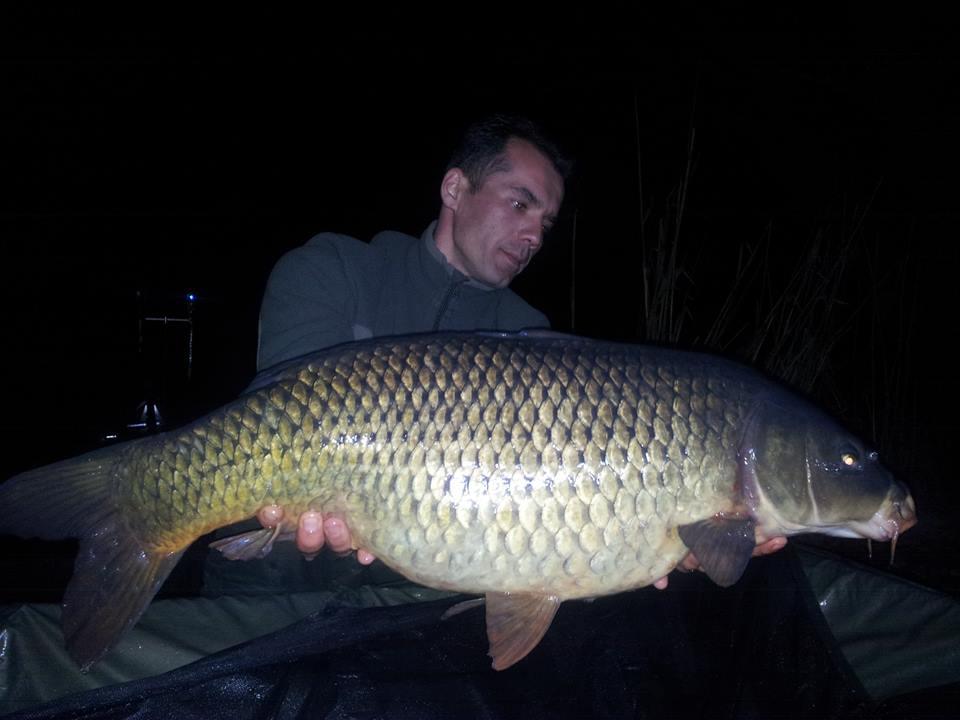 Tancabesti 28 - 29 mar. - 101535086601700940307951764762698n.jpg